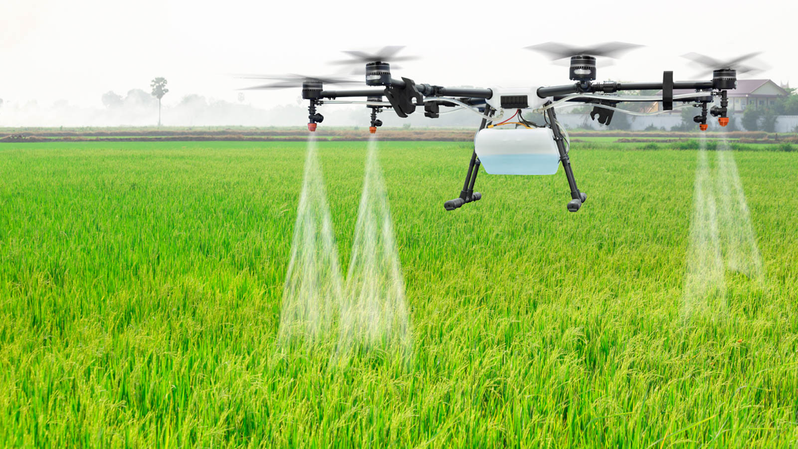 20201211_ drone_1600-21