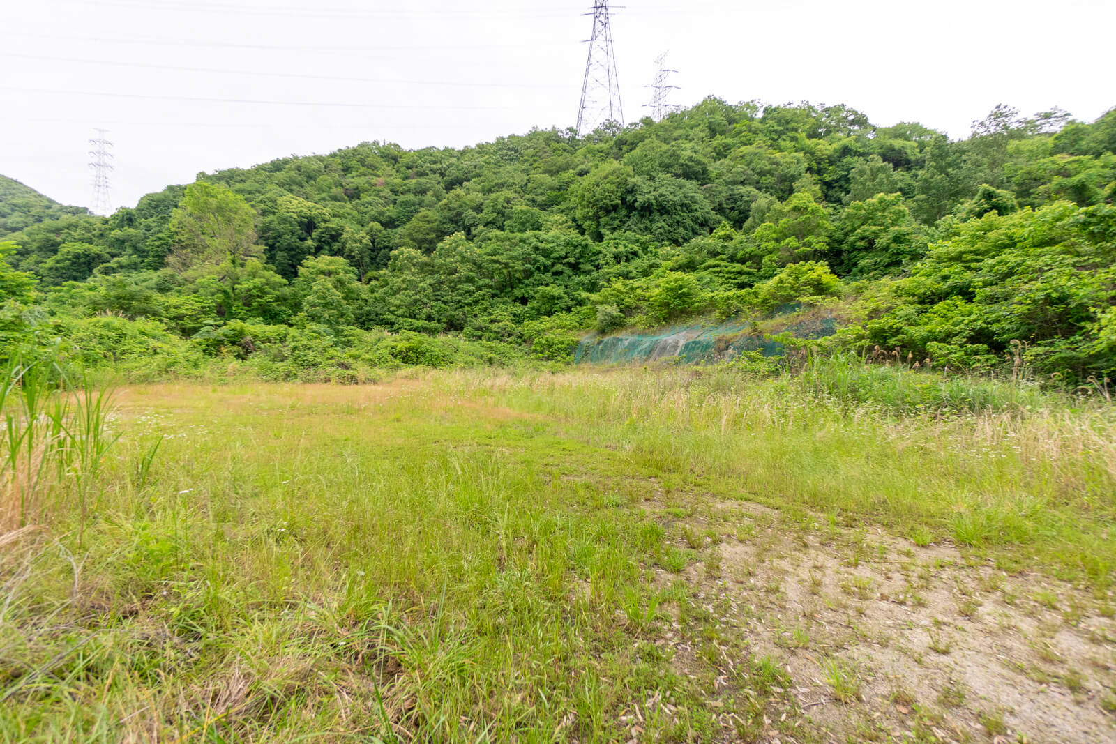 kuraji-1