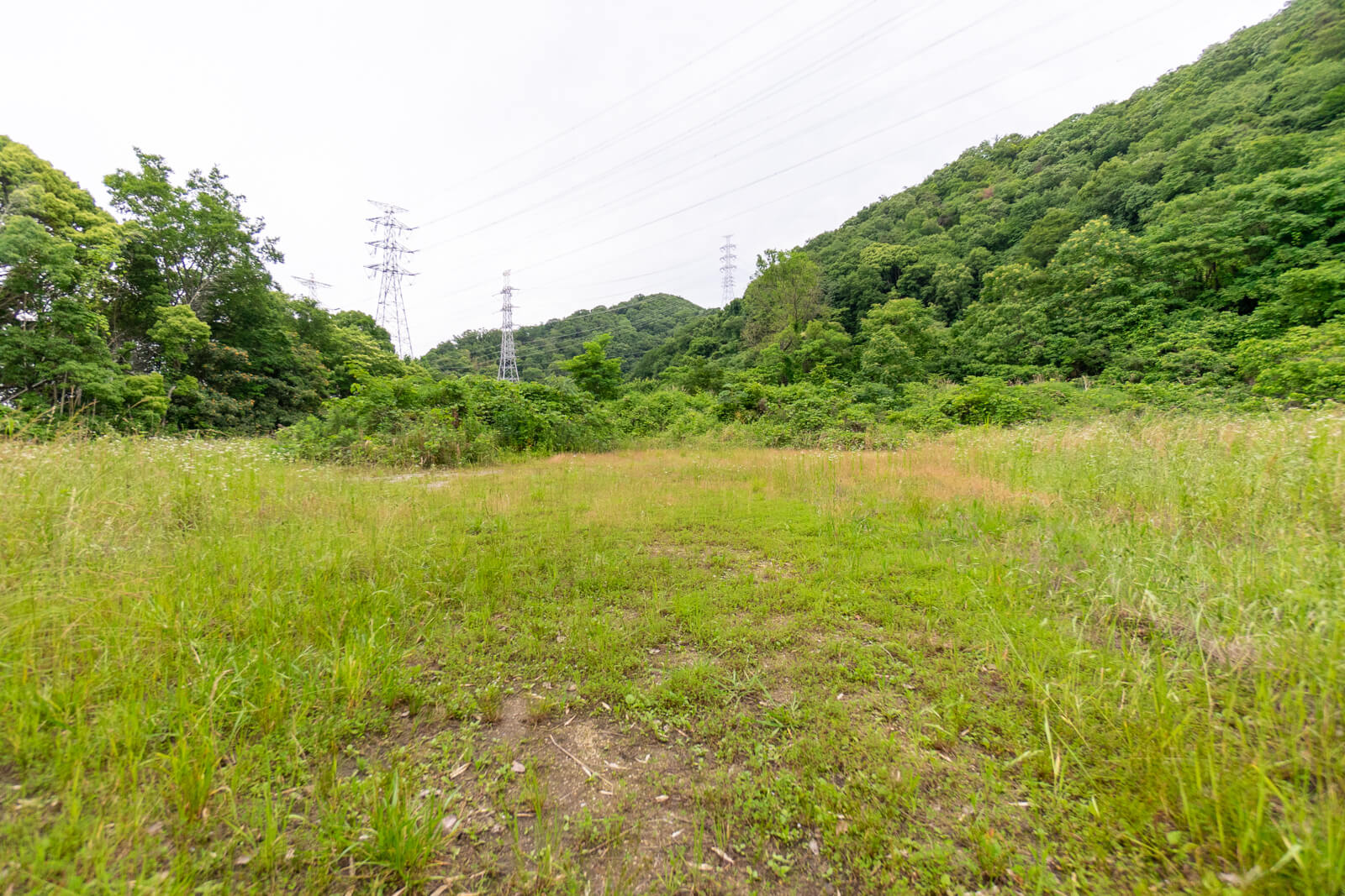kuraji-3