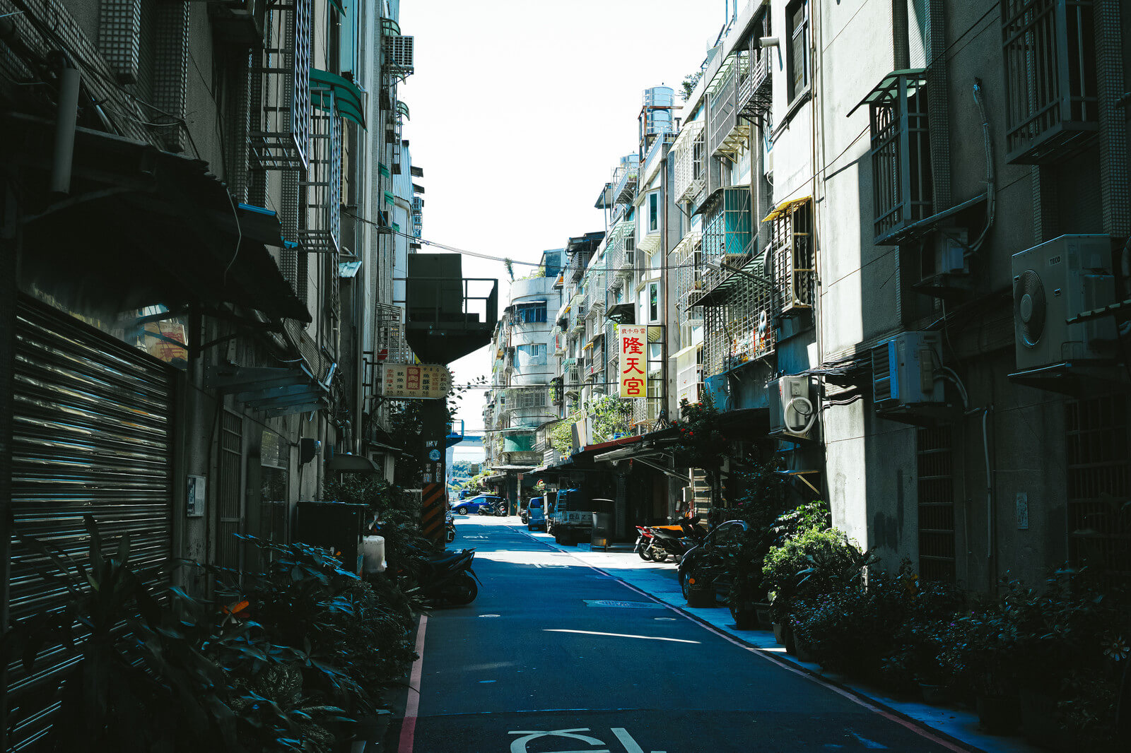 YUKILSDIM0638_TP_V